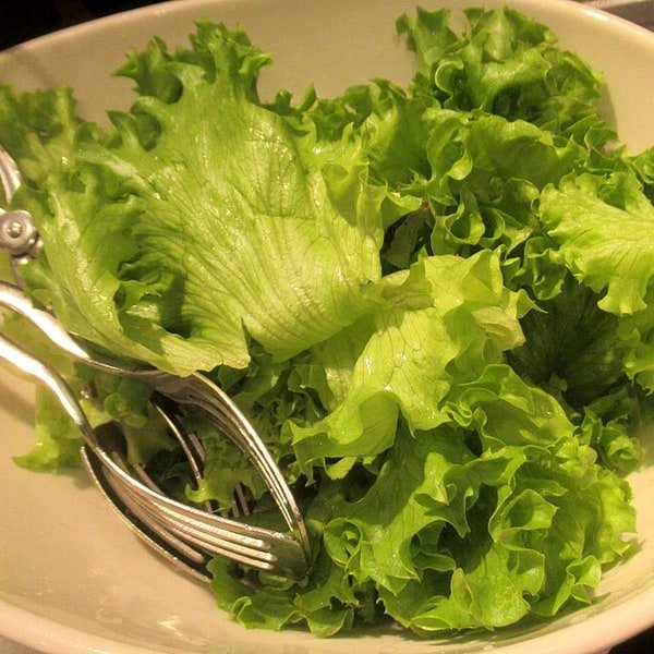 Butterhead Lettuce