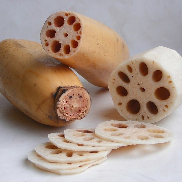Lotus Root Slice