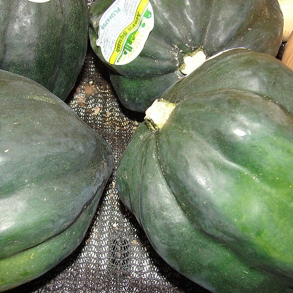 Acorn Squash Halved