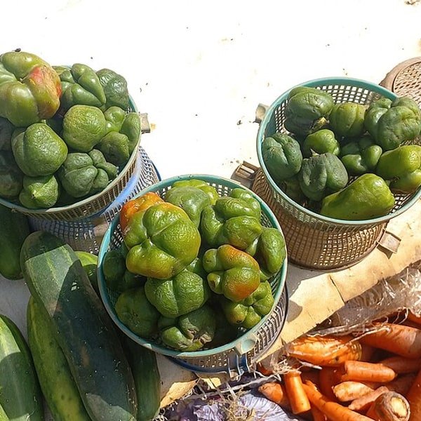 Green Capsicum
