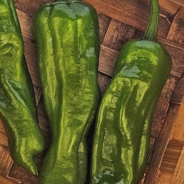 Shishito Pepper Bunch