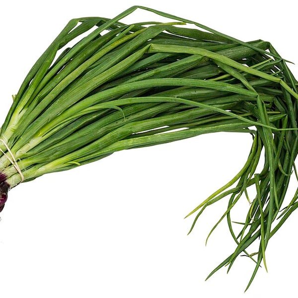 Spring Onion Bunch